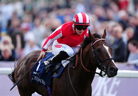Hollie Doyle within sight of 1000 career wins .